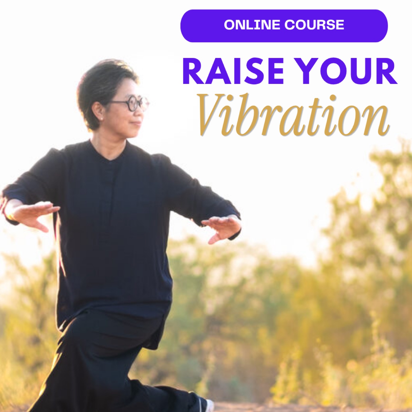 Raise Your Vibration online course promotional card